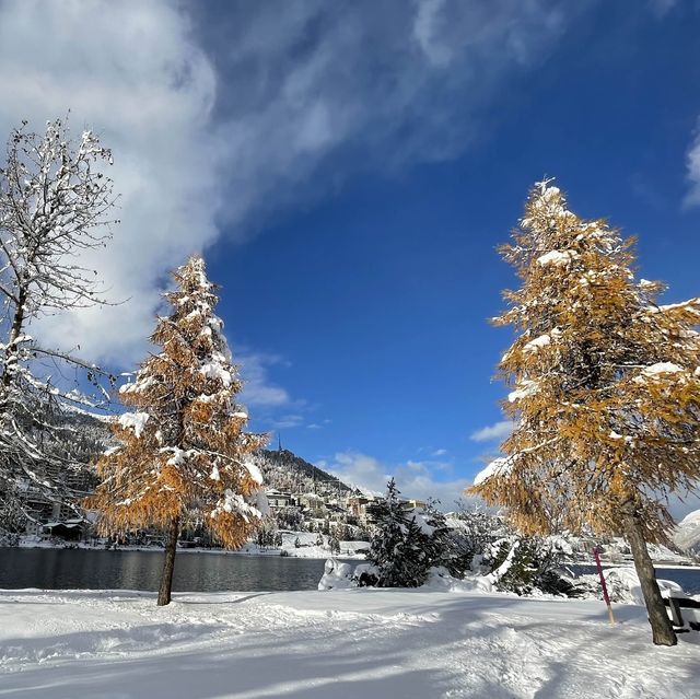 Winter Bliss at Lake St. Moritz