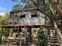 📌Daynin.cafe อ.พาน จ.เชียงราย ☕️ 📸