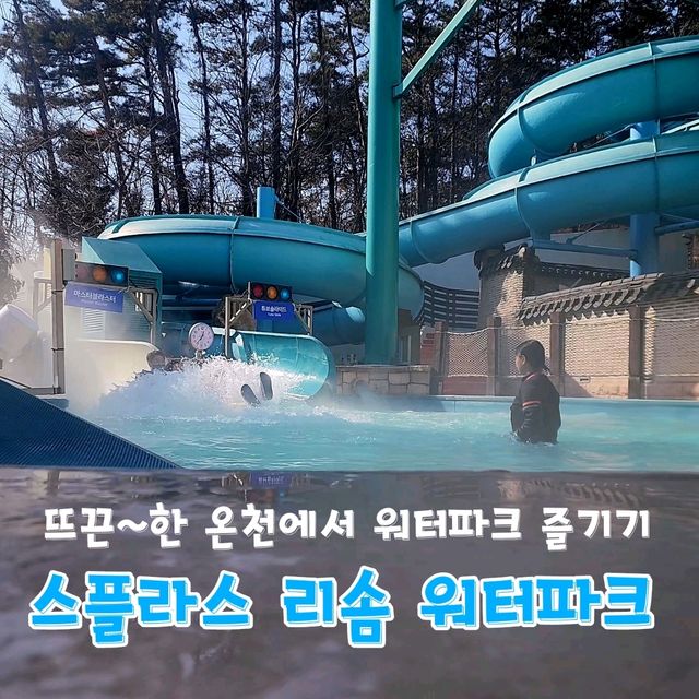 온천물에서 워터파크 즐겨봤오? 스플라스 리솜 워터파크♨️