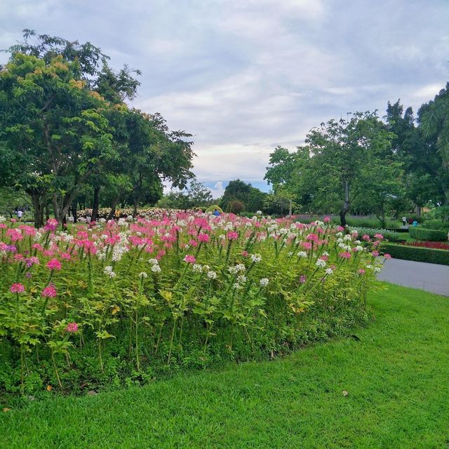 สวนหลวง ร.๙ สวนสาธารณะสวยสำหรับทุกคน