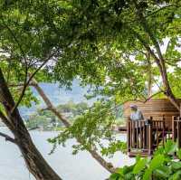 Tree Pods , Afternoon Tea on Tree 