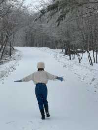 눈 오는 날 꼭 가야하는 대관령 명소 ❄️