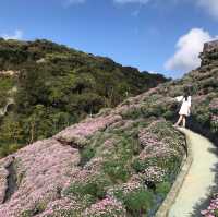 Flora Park: flowers paradise 🤩