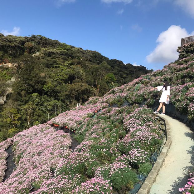 Flora Park: flowers paradise 🤩