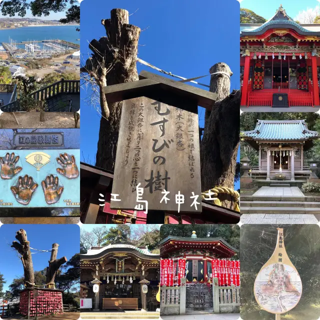 東京一小時車程近郊半日遊🫶🏻🫶🏻江島神社⛩️欣賞美麗海岸