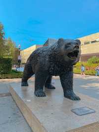 UCLA 마스코트 곰동상🐻그리고 스토어 투어까지🛍️