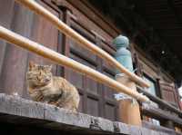 【足利の社寺】（栃木県足利市　旧国名：下野）
