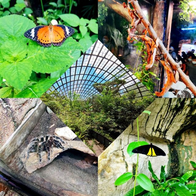 Entopia by Penang Butterfly Farm
