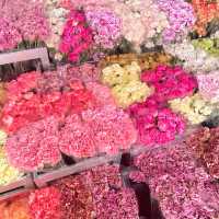 สวนเบญเเละดอกไม้จากปากคลองตลาด💐