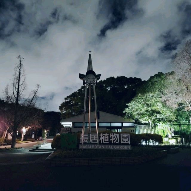 燈光與大自然的奇妙結合🌌🎡