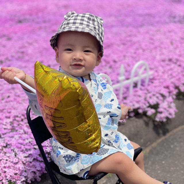ひがしもこと芝桜公園
