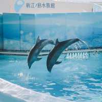 【神奈川】「新江ノ島水族館」でこの夏は新たな発見を🐟