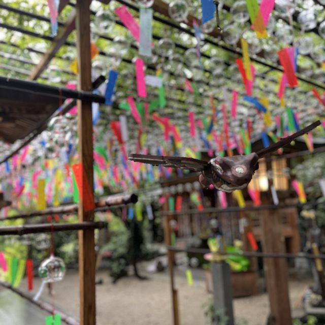 ~福岡 如意輪寺 かえる寺~夏の風物詩🎐