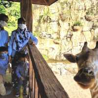 Lost World of Tambun Theme Park