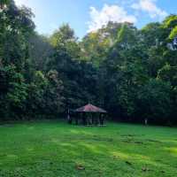 Bukit Batok stunning quarry pool