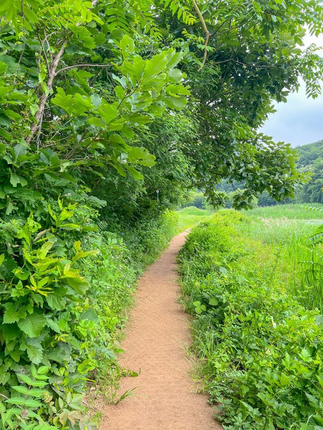 푸릇한 자연속에서 힐링한 다산생태공원💚