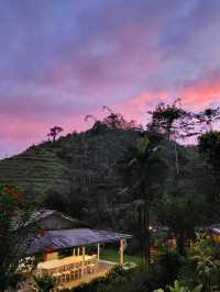 A rainforest farm stay experience in Malaysia 
