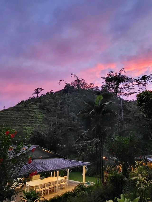 A rainforest farm stay experience in Malaysia 