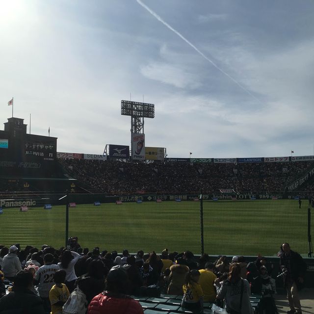 阪神甲子園球場