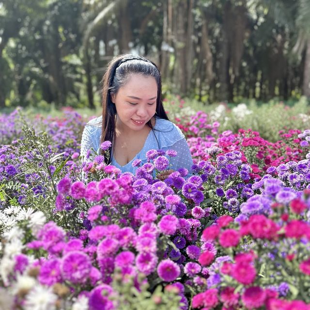 สวนดอกไม้ ไร่คุณอารียา @ กระบี่ 