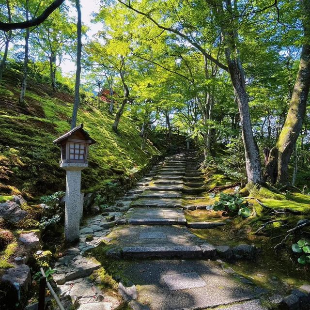 常寂光寺!!尋找內心寧靜的放鬆🌸🏯 