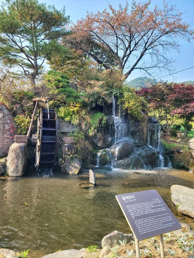 단풍구경도 하고 역사관람도 하는 강릉관광코스🍂