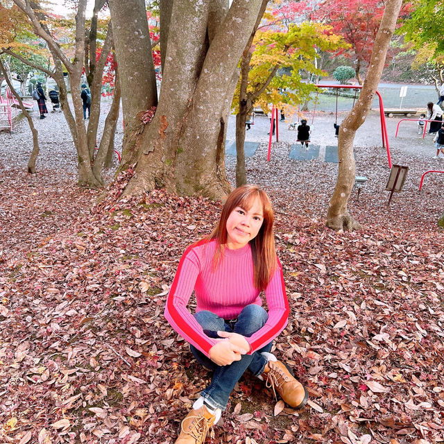三次市　尾関山公園