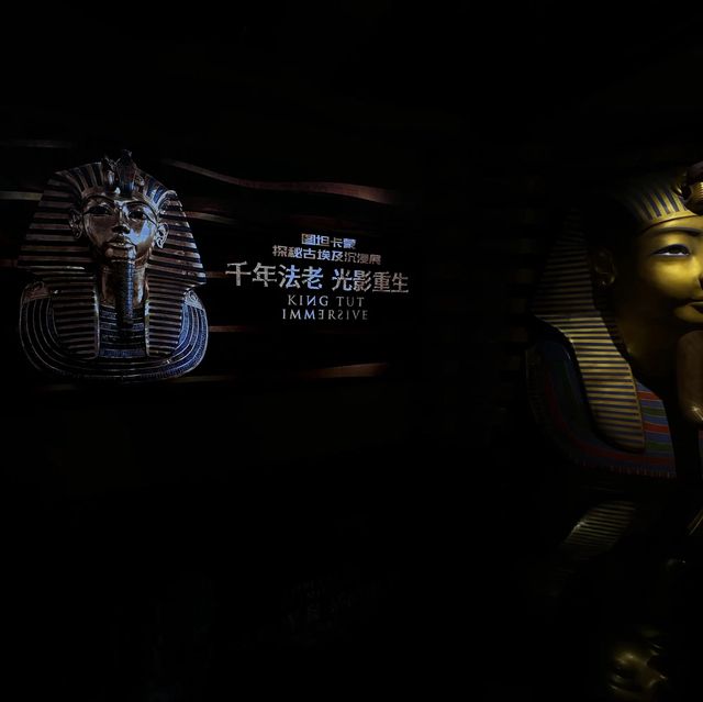 🖼️圖坦卡蒙|探秘古埃及|光影展