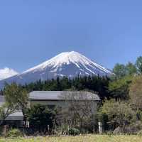 Fuji ☀️🗻 ไปดูฟูจิฟูใจที่ญี่ปุ่น 