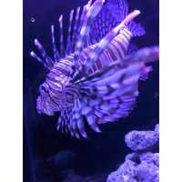 夜の東京デート/観光🍸🐠