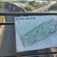 白天傍晚不同的美-雙溪濕地公園