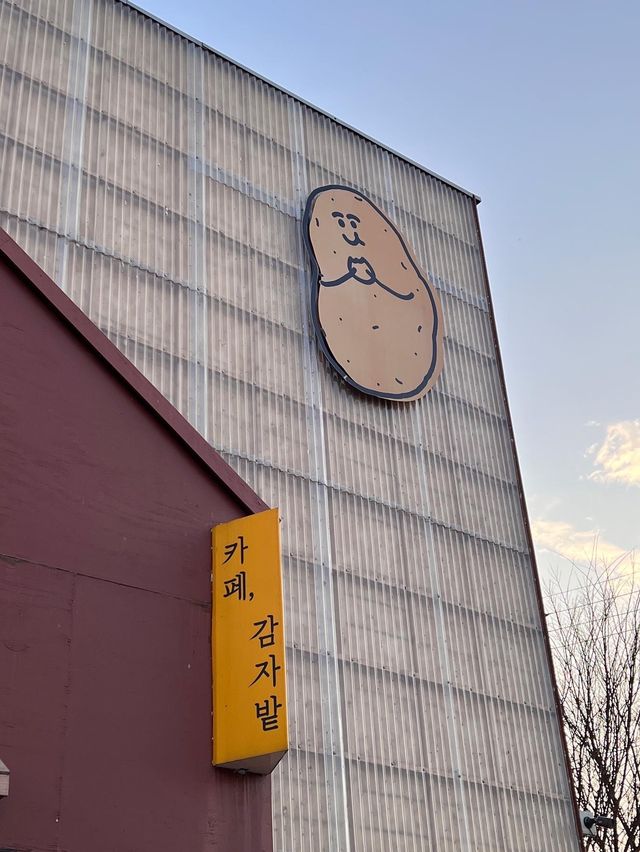 야외 오두막이 감성적인 뷰좋은카페, 감자밭