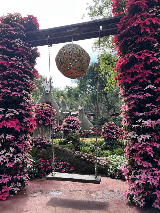 สวนดอกไม้สวยๆ ชมความงดงามบนยอดดอย