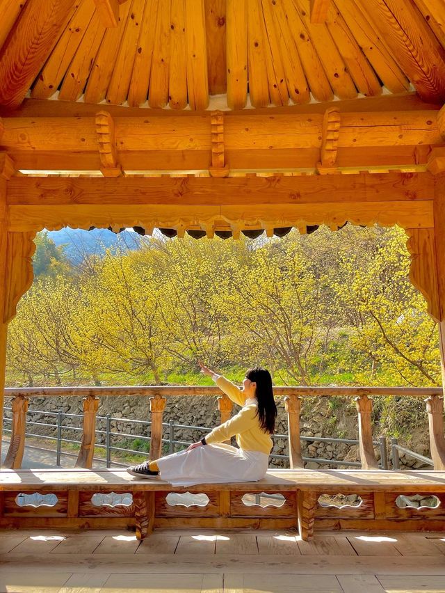 주말에도 사람 없는 꽃놀이 스팟을 원해? 그렇담 바로 여기💛