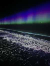 假日好去處  ︳沉浸式感官體驗