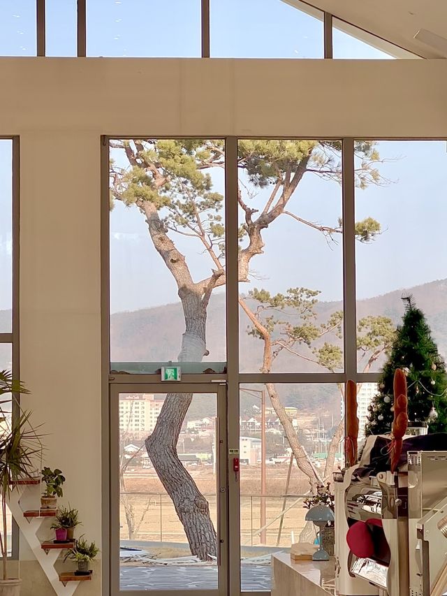경주에서 조용하게 힐링하고 싶을 땐? ‘경주 포워드’