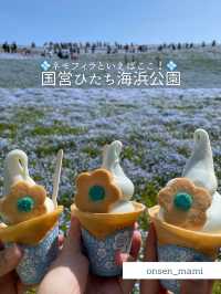 【茨城 ひたちなか】GWは人気のネモフィラ畑がおすすめ！