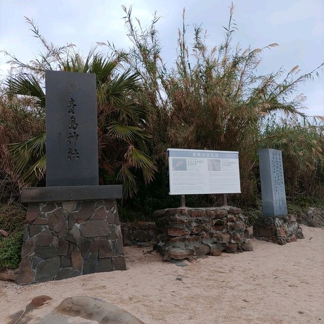 宮崎県「青島神社」海とジャングルのパワースポット