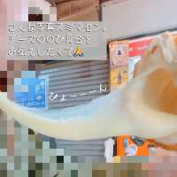 【大阪】鶴橋駅近！選べるハットグ専門店