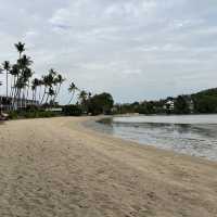 Island camping 