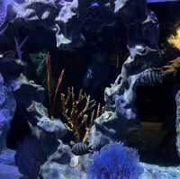  Underwater World Pattaya 🐠🐠💦