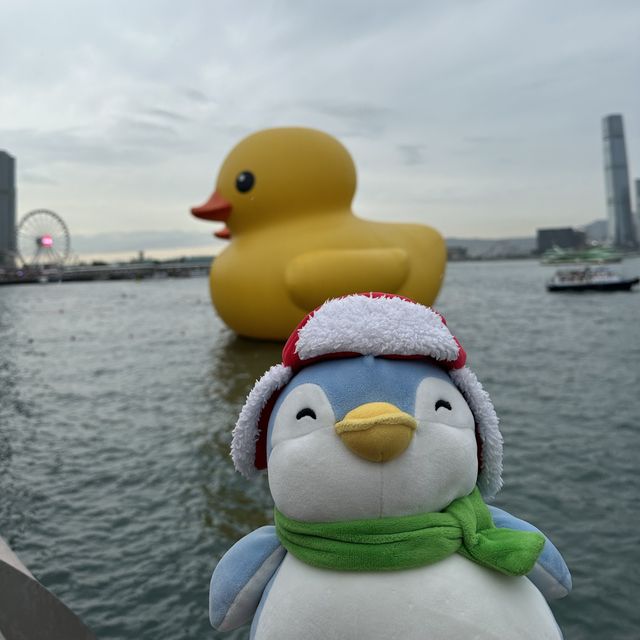 Penguins meet Rubber Ducks