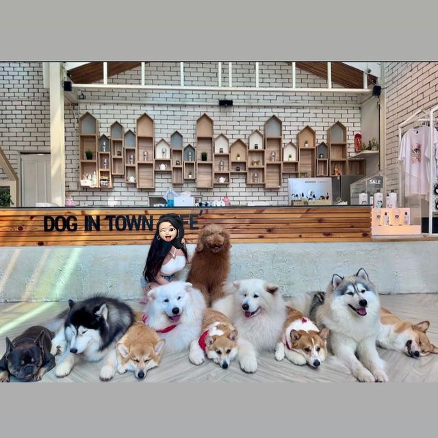 曼谷狗狗cafe🐶dog in town