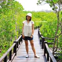 เส้นทางศึกษาธรรมชาติ วนอุทยานปราณบุรี