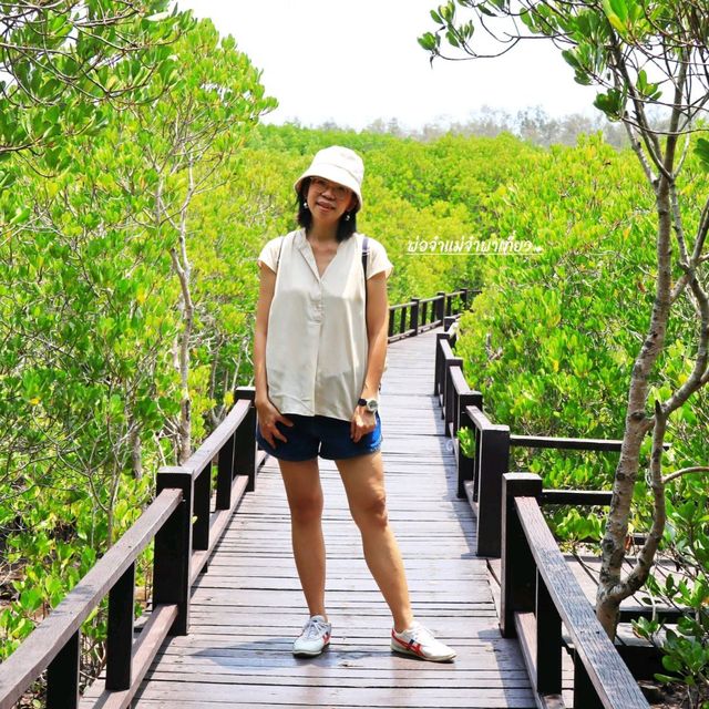 เส้นทางศึกษาธรรมชาติ วนอุทยานปราณบุรี