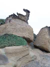 野柳地質公園與女王頭打卡