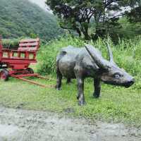踏青遊田野 玩轉頭城農場