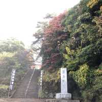 【鹿児島】人生で一度は行くべき‼️神秘的な空気を感じてみては⛩🌿