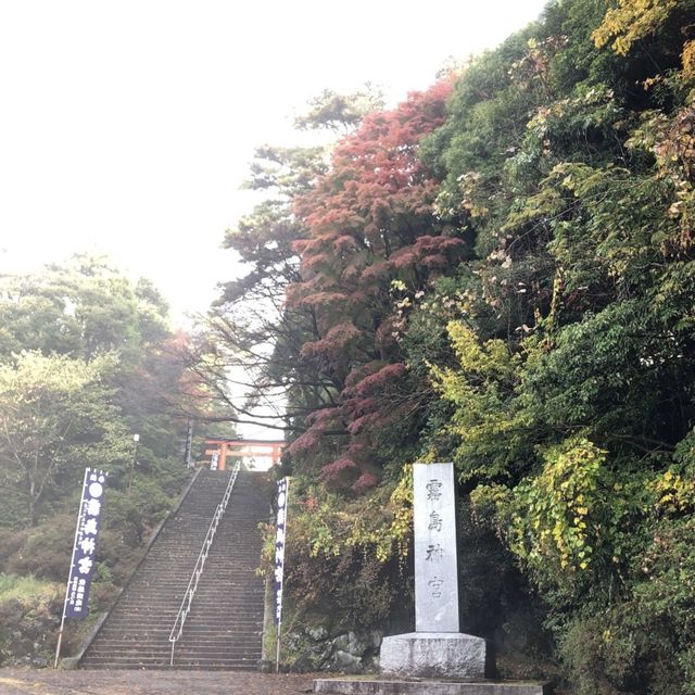 【鹿児島】人生で一度は行くべき‼️神秘的な空気を感じてみては⛩🌿 【鹿児島】人生で一度は行くべき‼️神秘的な空気を感じてみては⛩🌿