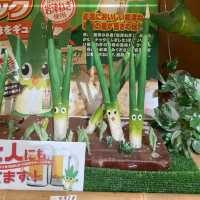 兵庫県冬場！道の駅フレッシュ朝来は「甘い！長い！太い！幻の岩津ねぎ」推しがすごすぎる